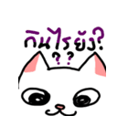 cat is here（個別スタンプ：6）