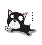 Frence Bulldog (Black Dogs)（個別スタンプ：16）