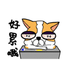 Dog Lucky（個別スタンプ：13）