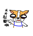Dog Lucky（個別スタンプ：15）