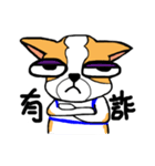 Dog Lucky（個別スタンプ：16）