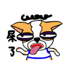 Dog Lucky（個別スタンプ：18）