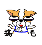Dog Lucky（個別スタンプ：19）