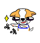 Dog Lucky（個別スタンプ：21）