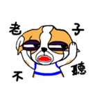 Dog Lucky（個別スタンプ：24）