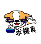 Dog Lucky（個別スタンプ：25）