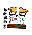 Dog Lucky（個別スタンプ：27）