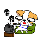 Dog Lucky（個別スタンプ：28）