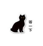 little black cat's diary（個別スタンプ：21）