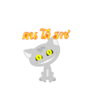 Cat's Korat（個別スタンプ：7）