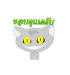 Cat's Korat（個別スタンプ：8）