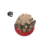 c-c--c-cactus（個別スタンプ：2）