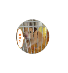 キンクマハムスターのしぐさ（個別スタンプ：2）