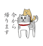 秋田犬、柴犬スタンプ（個別スタンプ：4）