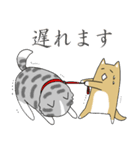 秋田犬、柴犬スタンプ（個別スタンプ：7）