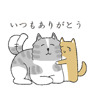 秋田犬、柴犬スタンプ（個別スタンプ：11）