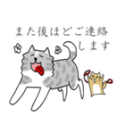秋田犬、柴犬スタンプ（個別スタンプ：12）
