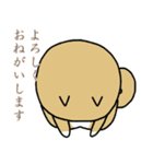 秋田犬、柴犬スタンプ（個別スタンプ：25）
