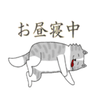 秋田犬、柴犬スタンプ（個別スタンプ：29）