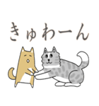秋田犬、柴犬スタンプ（個別スタンプ：30）