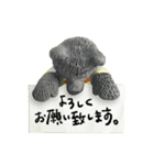 ひよしのべあくん（個別スタンプ：25）