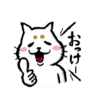 まろネコさん（個別スタンプ：3）