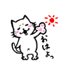まろネコさん（個別スタンプ：4）