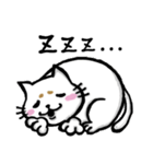 まろネコさん（個別スタンプ：5）