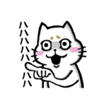 まろネコさん（個別スタンプ：8）