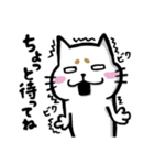 まろネコさん（個別スタンプ：11）
