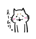 まろネコさん（個別スタンプ：12）