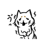 まろネコさん（個別スタンプ：13）