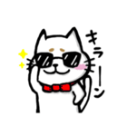 まろネコさん（個別スタンプ：34）