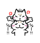 まろネコさん（個別スタンプ：37）