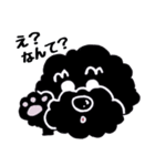 黒プー（個別スタンプ：4）