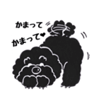 黒プー（個別スタンプ：20）