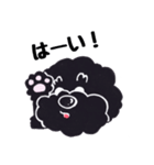 黒プー（個別スタンプ：33）