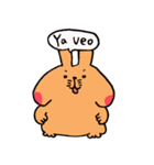 スペイン語をしゃべるウサギ（個別スタンプ：38）