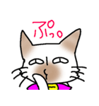 煽り気味にゃんこさん（個別スタンプ：6）