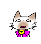 煽り気味にゃんこさん（個別スタンプ：12）