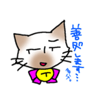 煽り気味にゃんこさん（個別スタンプ：19）
