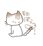 煽り気味にゃんこさん（個別スタンプ：23）