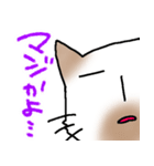 煽り気味にゃんこさん（個別スタンプ：29）