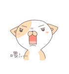 Cat-Mimi（個別スタンプ：7）