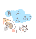 Cat-Mimi（個別スタンプ：19）