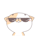 Cat-Mimi（個別スタンプ：37）