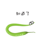 green chili（個別スタンプ：4）