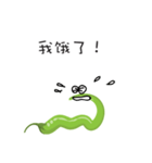 green chili（個別スタンプ：14）