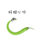 green chili（個別スタンプ：19）