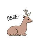あにまるずエブリデイ（個別スタンプ：40）